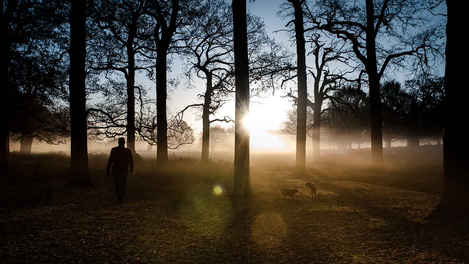 sunrise-richmond-park